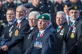 The South Atlantic Medal Association 1982 (Group F17, 150 members) during the Royal British Legion March Past on Remembrance Sunday at the Cenotaph, Whitehall, Westminster, London, 11 November 2018, 11:52.