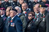 The South Atlantic Medal Association 1982 (Group F17, 150 members) during the Royal British Legion March Past on Remembrance Sunday at the Cenotaph, Whitehall, Westminster, London, 11 November 2018, 11:53.