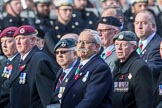 The South Atlantic Medal Association 1982 (Group F17, 150 members) during the Royal British Legion March Past on Remembrance Sunday at the Cenotaph, Whitehall, Westminster, London, 11 November 2018, 11:53.