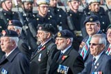 The South Atlantic Medal Association 1982 (Group F17, 150 members) during the Royal British Legion March Past on Remembrance Sunday at the Cenotaph, Whitehall, Westminster, London, 11 November 2018, 11:53.