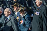 Irish United Nations Veterans Association  (Group F18, 14 members) during the Royal British Legion March Past on Remembrance Sunday at the Cenotaph, Whitehall, Westminster, London, 11 November 2018, 11:53.