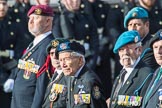 Bond van Wapenbroeders (Group F23, 31 members) during the Royal British Legion March Past on Remembrance Sunday at the Cenotaph, Whitehall, Westminster, London, 11 November 2018, 11:53.