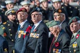 Bond van Wapenbroeders (Group F23, 31 members) during the Royal British Legion March Past on Remembrance Sunday at the Cenotaph, Whitehall, Westminster, London, 11 November 2018, 11:53.