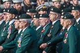 1 LI Association (Group A1, 60 members) during the Royal British Legion March Past on Remembrance Sunday at the Cenotaph, Whitehall, Westminster, London, 11 November 2018, 11:55.