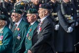 Durham Light Infantry Association (Group A5, 27 members) during the Royal British Legion March Past on Remembrance Sunday at the Cenotaph, Whitehall, Westminster, London, 11 November 2018, 11:56.