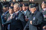 The Royal Hampshire Regimental Association (Group A27, 51 members) during the Royal British Legion March Past on Remembrance Sunday at the Cenotaph, Whitehall, Westminster, London, 11 November 2018, 12:01.