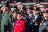 The Northumberland Fusiliers All Ranks Club (Group A34, 41 members) during the Royal British Legion March Past on Remembrance Sunday at the Cenotaph, Whitehall, Westminster, London, 11 November 2018, 12:02.