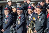 Combined Irish Regiments Association (Group A36, 34 members) during the Royal British Legion March Past on Remembrance Sunday at the Cenotaph, Whitehall, Westminster, London, 11 November 2018, 12:02.
