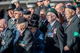 Combined Irish Regiments Association (Group A36, 34 members) during the Royal British Legion March Past on Remembrance Sunday at the Cenotaph, Whitehall, Westminster, London, 11 November 2018, 12:02.