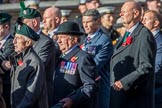 Combined Irish Regiments Association (Group A36, 34 members) during the Royal British Legion March Past on Remembrance Sunday at the Cenotaph, Whitehall, Westminster, London, 11 November 2018, 12:02.