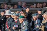 Blind Veterans UK (Group AA7, 215 members) during the Royal British Legion March Past on Remembrance Sunday at the Cenotaph, Whitehall, Westminster, London, 11 November 2018, 12:04.