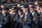 Royal Engineers Bomb Disposal Association (Group B5, 60 members) during the Royal British Legion March Past on Remembrance Sunday at the Cenotaph, Whitehall, Westminster, London, 11 November 2018, 12:06.