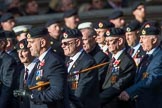 Royal Engineers Bomb Disposal Association (Group B5, 60 members) during the Royal British Legion March Past on Remembrance Sunday at the Cenotaph, Whitehall, Westminster, London, 11 November 2018, 12:06.