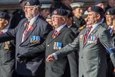 The 16th/5th Queen's Royal Lancers OCA (Group B23, 39 members) during the Royal British Legion March Past on Remembrance Sunday at the Cenotaph, Whitehall, Westminster, London, 11 November 2018, 12:11.