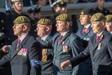 Special Observer Association (Group B27, 26 members) during the Royal British Legion March Past on Remembrance Sunday at the Cenotaph, Whitehall, Westminster, London, 11 November 2018, 12:12.