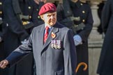 The Parachute Squadron Royal Armoured Corps (Group B28, 19 members) during the Royal British Legion March Past on Remembrance Sunday at the Cenotaph, Whitehall, Westminster, London, 11 November 2018, 12:12.