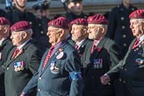 The Parachute Squadron Royal Armoured Corps (Group B28, 19 members) during the Royal British Legion March Past on Remembrance Sunday at the Cenotaph, Whitehall, Westminster, London, 11 November 2018, 12:12.