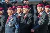 The Parachute Squadron Royal Armoured Corps (Group B28, 19 members) during the Royal British Legion March Past on Remembrance Sunday at the Cenotaph, Whitehall, Westminster, London, 11 November 2018, 12:12.