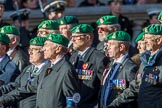 Intelligence Corps Association (Group B29, 35 members) during the Royal British Legion March Past on Remembrance Sunday at the Cenotaph, Whitehall, Westminster, London, 11 November 2018, 12:12.