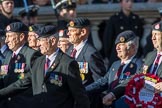 50 FD SQN (CONST) Royal Engineers (Group B30, 35 members) during the Royal British Legion March Past on Remembrance Sunday at the Cenotaph, Whitehall, Westminster, London, 11 November 2018, 12:12.