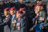 Airborne Engineers Association (Group B31, 20 members) during the Royal British Legion March Past on Remembrance Sunday at the Cenotaph, Whitehall, Westminster, London, 11 November 2018, 12:12.