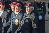 Airborne Engineers Association (Group B31, 20 members) during the Royal British Legion March Past on Remembrance Sunday at the Cenotaph, Whitehall, Westminster, London, 11 November 2018, 12:12.