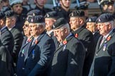 3rd Regiment Royal Horse Artillery Past and Present(Group B33, 70 members) during the Royal British Legion March Past on Remembrance Sunday at the Cenotaph, Whitehall, Westminster, London, 11 November 2018, 12:12.