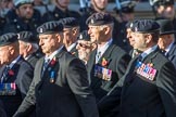 3rd Regiment Royal Horse Artillery Past and Present(Group B33, 70 members) during the Royal British Legion March Past on Remembrance Sunday at the Cenotaph, Whitehall, Westminster, London, 11 November 2018, 12:12.