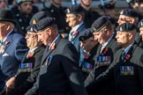3rd Regiment Royal Horse Artillery Past and Present(Group B33, 70 members) during the Royal British Legion March Past on Remembrance Sunday at the Cenotaph, Whitehall, Westminster, London, 11 November 2018, 12:12.
