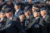 3rd Regiment Royal Horse Artillery Past and Present(Group B33, 70 members) during the Royal British Legion March Past on Remembrance Sunday at the Cenotaph, Whitehall, Westminster, London, 11 November 2018, 12:12.