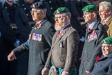 Adjutant General Corps (Group B34, 13 members) during the Royal British Legion March Past on Remembrance Sunday at the Cenotaph, Whitehall, Westminster, London, 11 November 2018, 12:13.