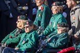 The Queen's Royal Hussars Regimental Association (Group B39, 19 members) during the Royal British Legion March Past on Remembrance Sunday at the Cenotaph, Whitehall, Westminster, London, 11 November 2018, 12:13.