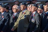 Royal Air Forces Association (Group C1, 155 members) during the Royal British Legion March Past on Remembrance Sunday at the Cenotaph, Whitehall, Westminster, London, 11 November 2018, 12:14.