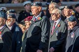 Royal Air Forces Association (Group C1, 155 members) during the Royal British Legion March Past on Remembrance Sunday at the Cenotaph, Whitehall, Westminster, London, 11 November 2018, 12:14.