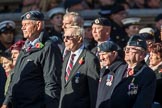 Royal Air Forces Association (Group C1, 155 members) during the Royal British Legion March Past on Remembrance Sunday at the Cenotaph, Whitehall, Westminster, London, 11 November 2018, 12:14.
