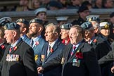 Royal Air Forces Association (Group C1, 155 members) during the Royal British Legion March Past on Remembrance Sunday at the Cenotaph, Whitehall, Westminster, London, 11 November 2018, 12:14.