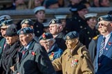 Royal Air Forces Association (Group C1, 155 members) during the Royal British Legion March Past on Remembrance Sunday at the Cenotaph, Whitehall, Westminster, London, 11 November 2018, 12:14.