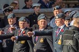 Royal Air Force Regiment Association (Group C3, 175 members) during the Royal British Legion March Past on Remembrance Sunday at the Cenotaph, Whitehall, Westminster, London, 11 November 2018, 12:14.