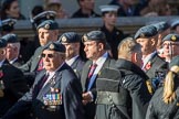 Royal Air Force Regiment Association (Group C3, 175 members) during the Royal British Legion March Past on Remembrance Sunday at the Cenotaph, Whitehall, Westminster, London, 11 November 2018, 12:15.