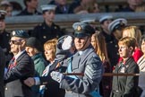 Royal Air Force Regiment Association (Group C3, 175 members) during the Royal British Legion March Past on Remembrance Sunday at the Cenotaph, Whitehall, Westminster, London, 11 November 2018, 12:15.