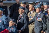 RAF Movements and Mobile Air Movements Squadrons Association (Group C15, 50 members) during the Royal British Legion March Past on Remembrance Sunday at the Cenotaph, Whitehall, Westminster, London, 11 November 2018, 12:16.