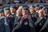 RAF Movements and Mobile Air Movements Squadrons Association (Group C15, 50 members) during the Royal British Legion March Past on Remembrance Sunday at the Cenotaph, Whitehall, Westminster, London, 11 November 2018, 12:16.