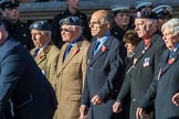 The Blenheim Society (Group C16, 15 members) during the Royal British Legion March Past on Remembrance Sunday at the Cenotaph, Whitehall, Westminster, London, 11 November 2018, 12:17.