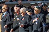 The Blenheim Society (Group C16, 15 members) during the Royal British Legion March Past on Remembrance Sunday at the Cenotaph, Whitehall, Westminster, London, 11 November 2018, 12:17.