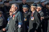 202 Squadron Association (Group C28, 16 members) during the Royal British Legion March Past on Remembrance Sunday at the Cenotaph, Whitehall, Westminster, London, 11 November 2018, 12:19.