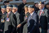 202 Squadron Association (Group C28, 16 members) during the Royal British Legion March Past on Remembrance Sunday at the Cenotaph, Whitehall, Westminster, London, 11 November 2018, 12:19.