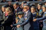 Royal Air Forces Association (Caduceus) branch (Group C31, 22 members) during the Royal British Legion March Past on Remembrance Sunday at the Cenotaph, Whitehall, Westminster, London, 11 November 2018, 12:19.