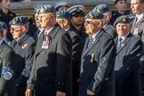 PJI Canopy Club Association (Group C32, 22 members) during the Royal British Legion March Past on Remembrance Sunday at the Cenotaph, Whitehall, Westminster, London, 11 November 2018, 12:19.