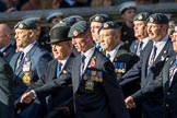 Royal Air Force Servicing Commando and Tactical Supply Wing Association (Group C36, 50 members) during the Royal British Legion March Past on Remembrance Sunday at the Cenotaph, Whitehall, Westminster, London, 11 November 2018, 12:20.