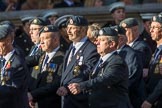 Royal Air Force Servicing Commando and Tactical Supply Wing Association (Group C36, 50 members) during the Royal British Legion March Past on Remembrance Sunday at the Cenotaph, Whitehall, Westminster, London, 11 November 2018, 12:20.